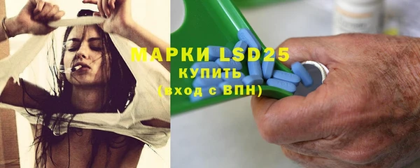 PSILOCYBIN Новокубанск