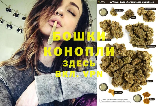 спиды Новодвинск