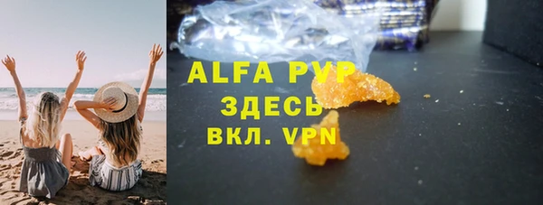 спиды Новодвинск