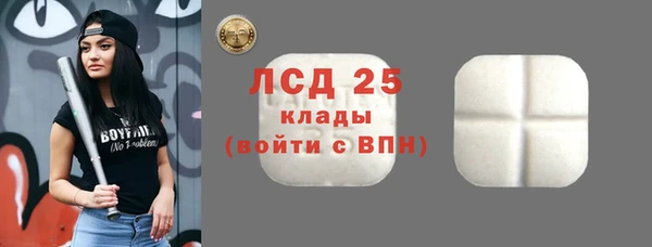 спиды Новодвинск