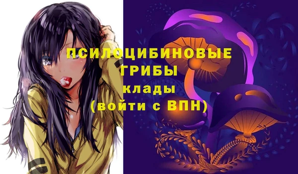 спайс Новозыбков