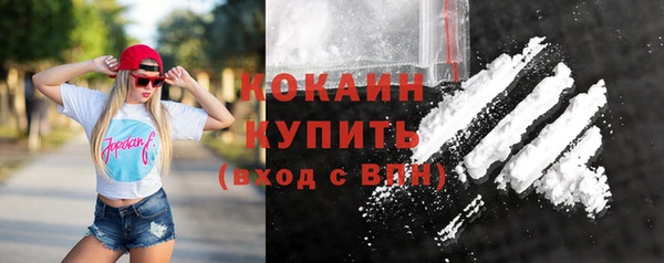 спиды Новодвинск